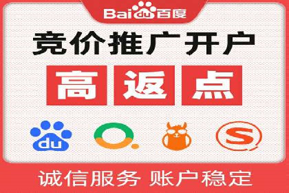SEM运营公司成功案例解析